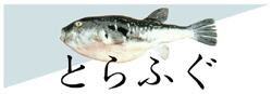 とらふぐ